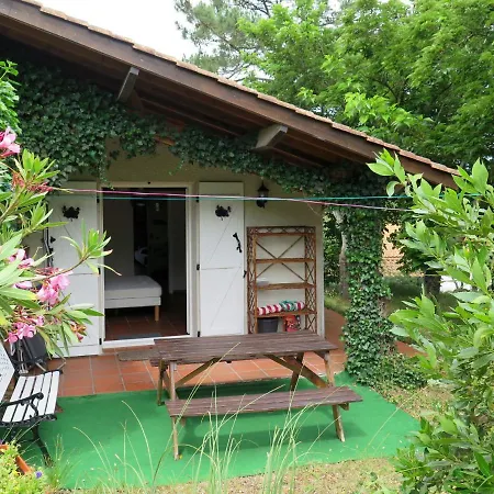 Petite Ramaline By Interhome Lacanau